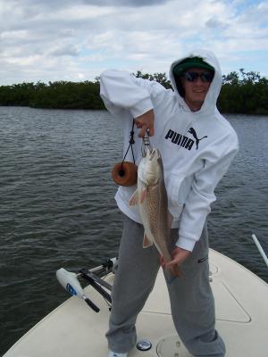 Shallow water redfish....